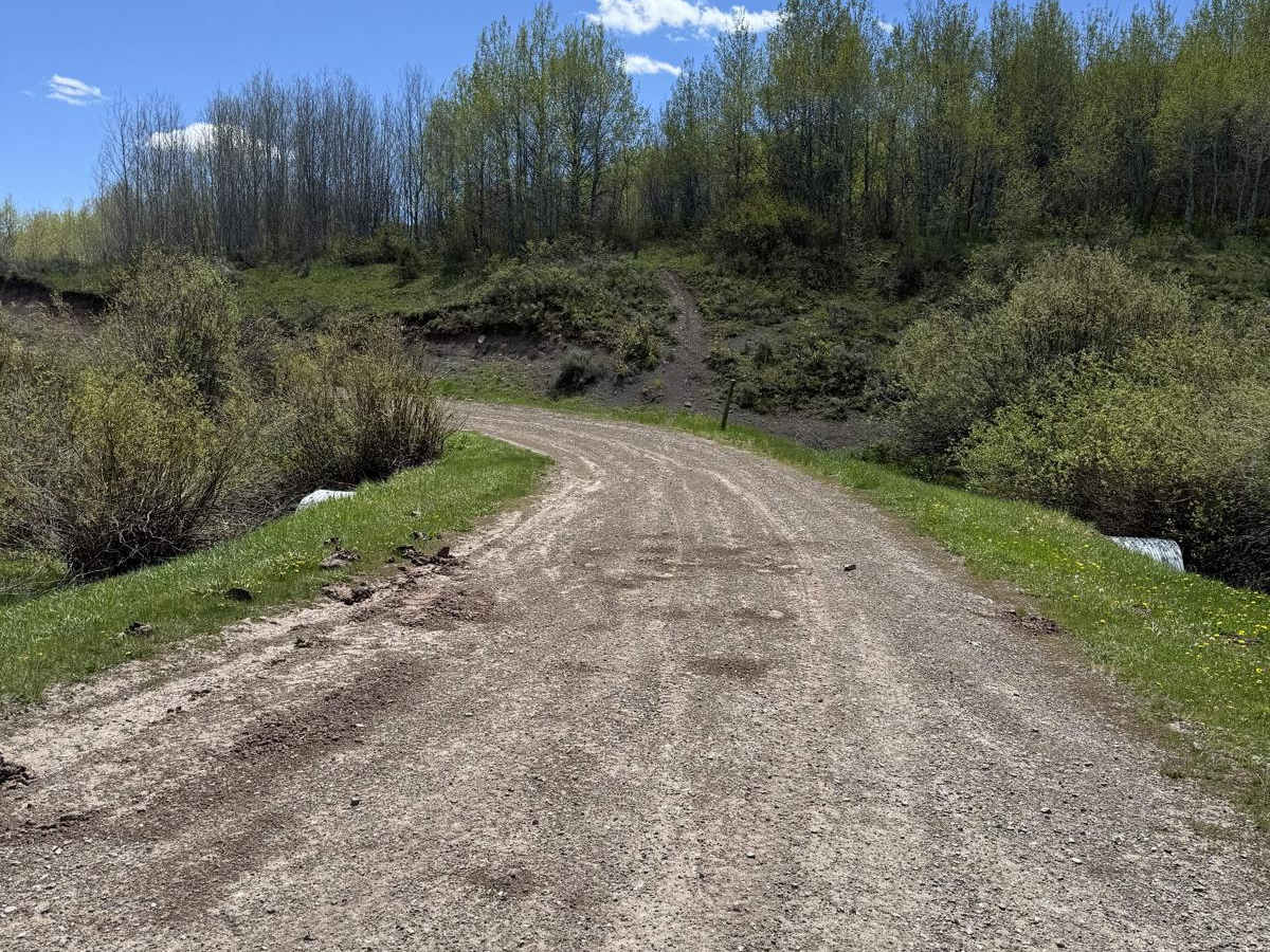 June Creek Trail photo 2