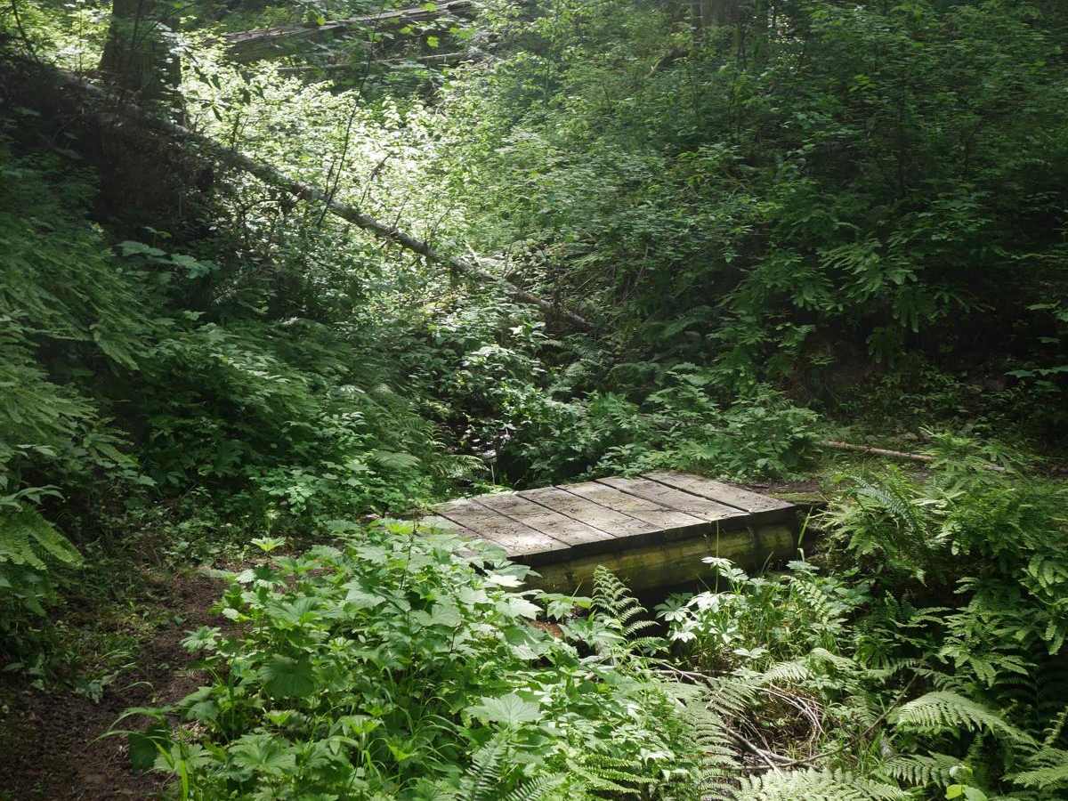 Weitas Creek photo 5