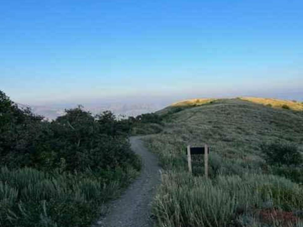 Coldwater Peak (6087) photo 2