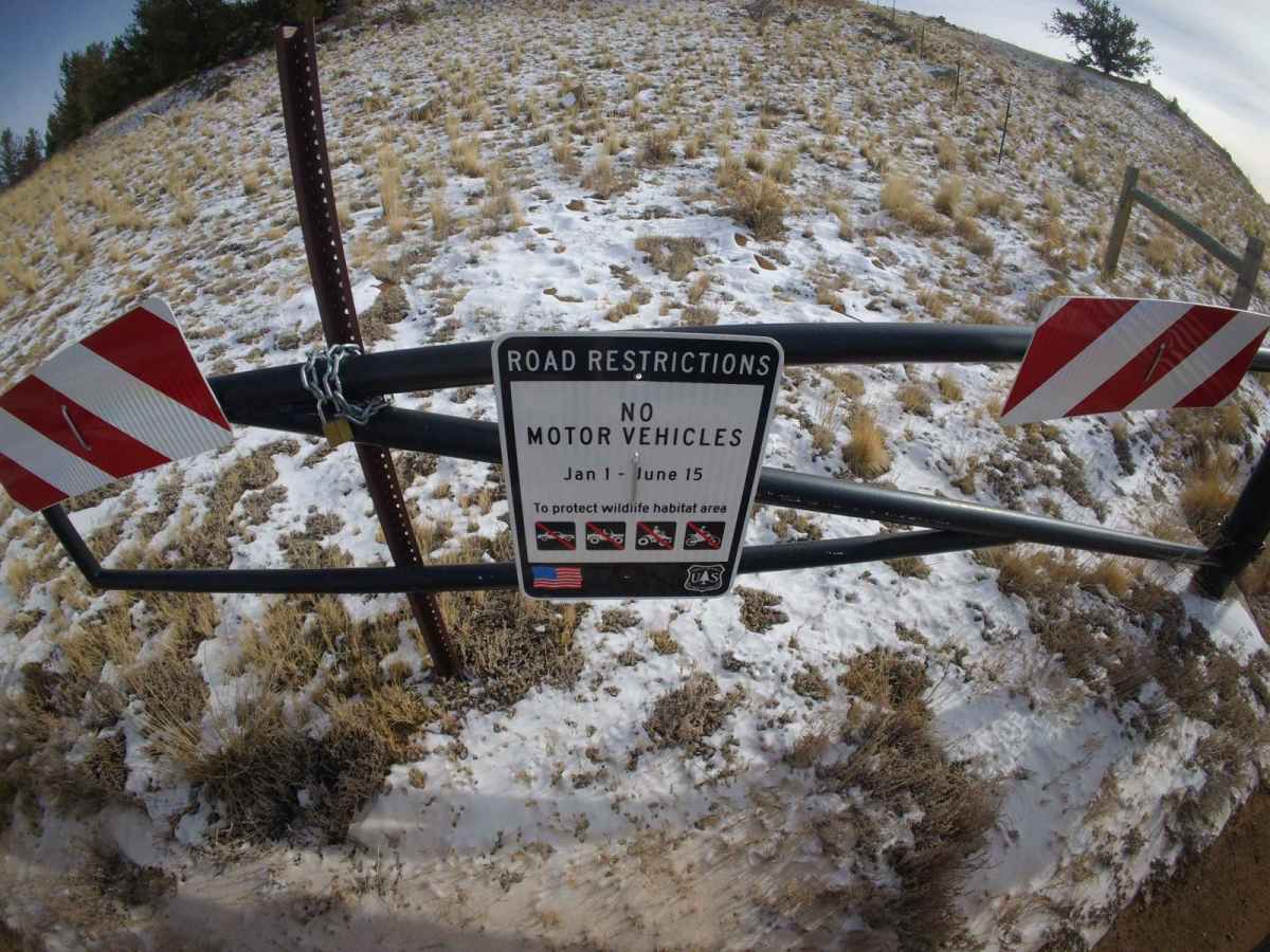 Derbishire Gulch Road - FS 143 photo 2
