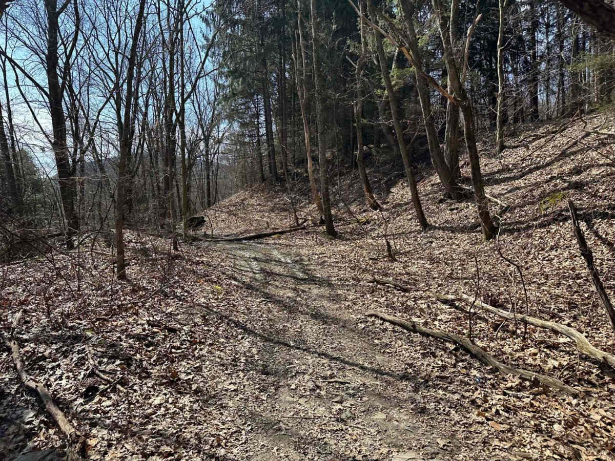 Ashland 105 photo 2