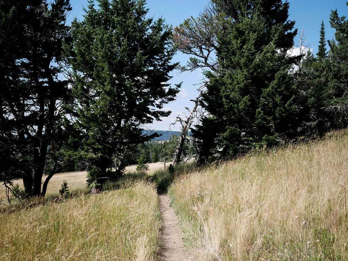 Bangtail Divide photo 3