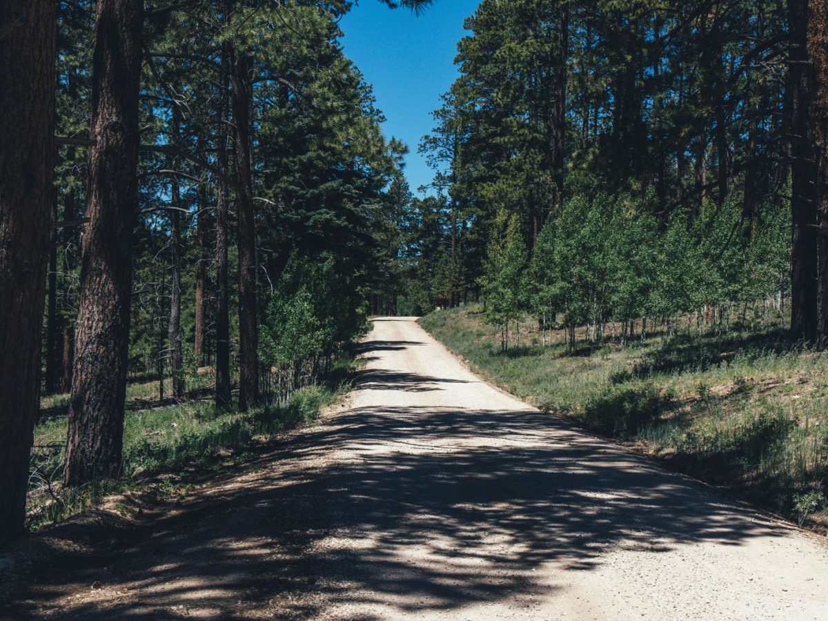 Corral Lake photo 3