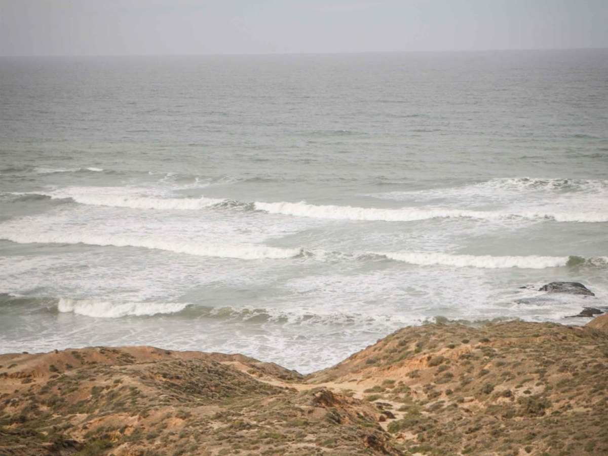 Punta Baja photo 6