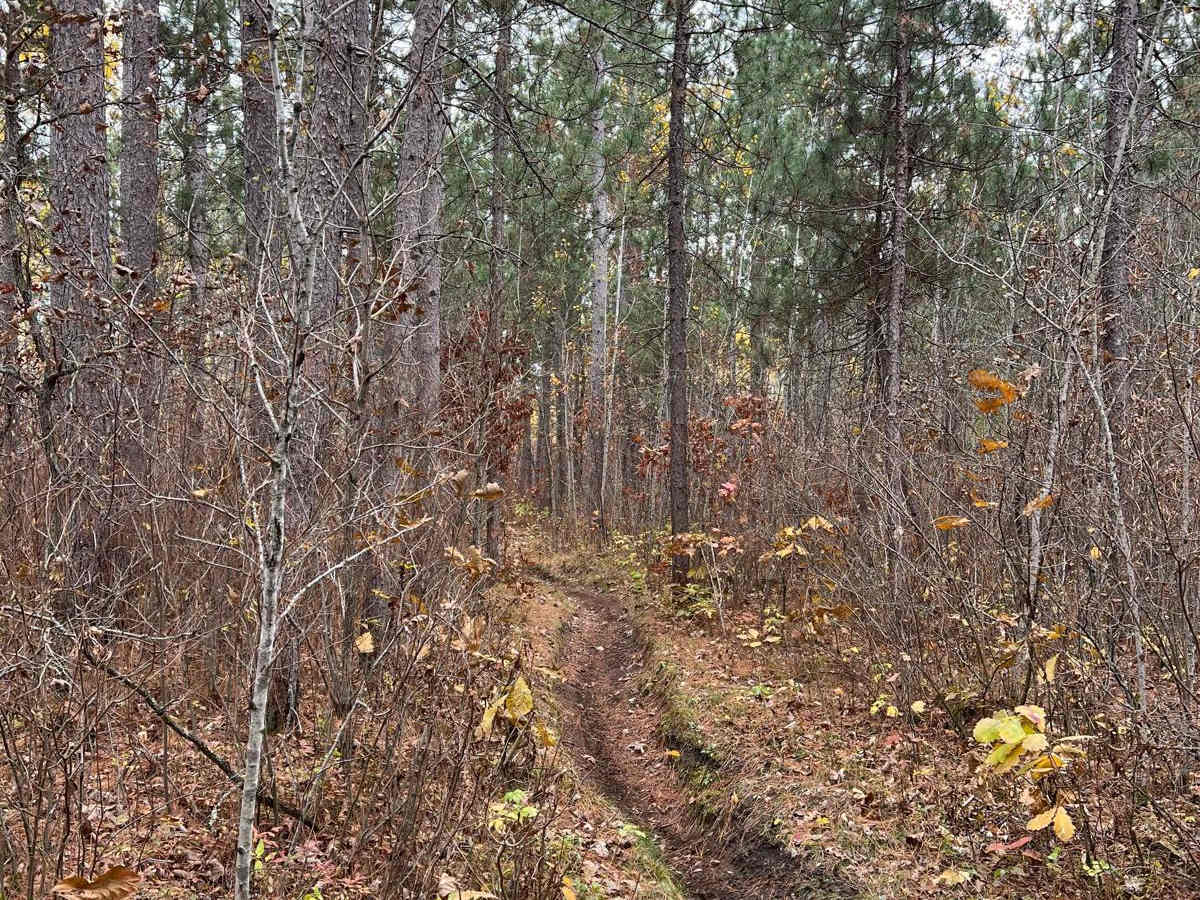 Central Huntersville Cut Through photo 3