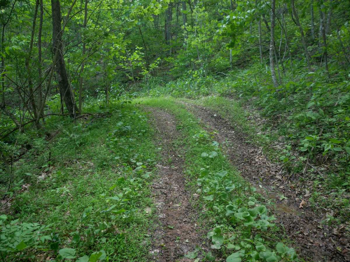 RV29 photo 5