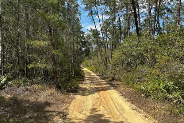 ONF Trail 5-18.4