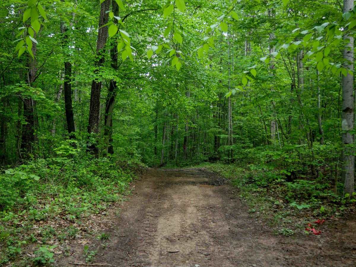 Trail 2 trail photo
