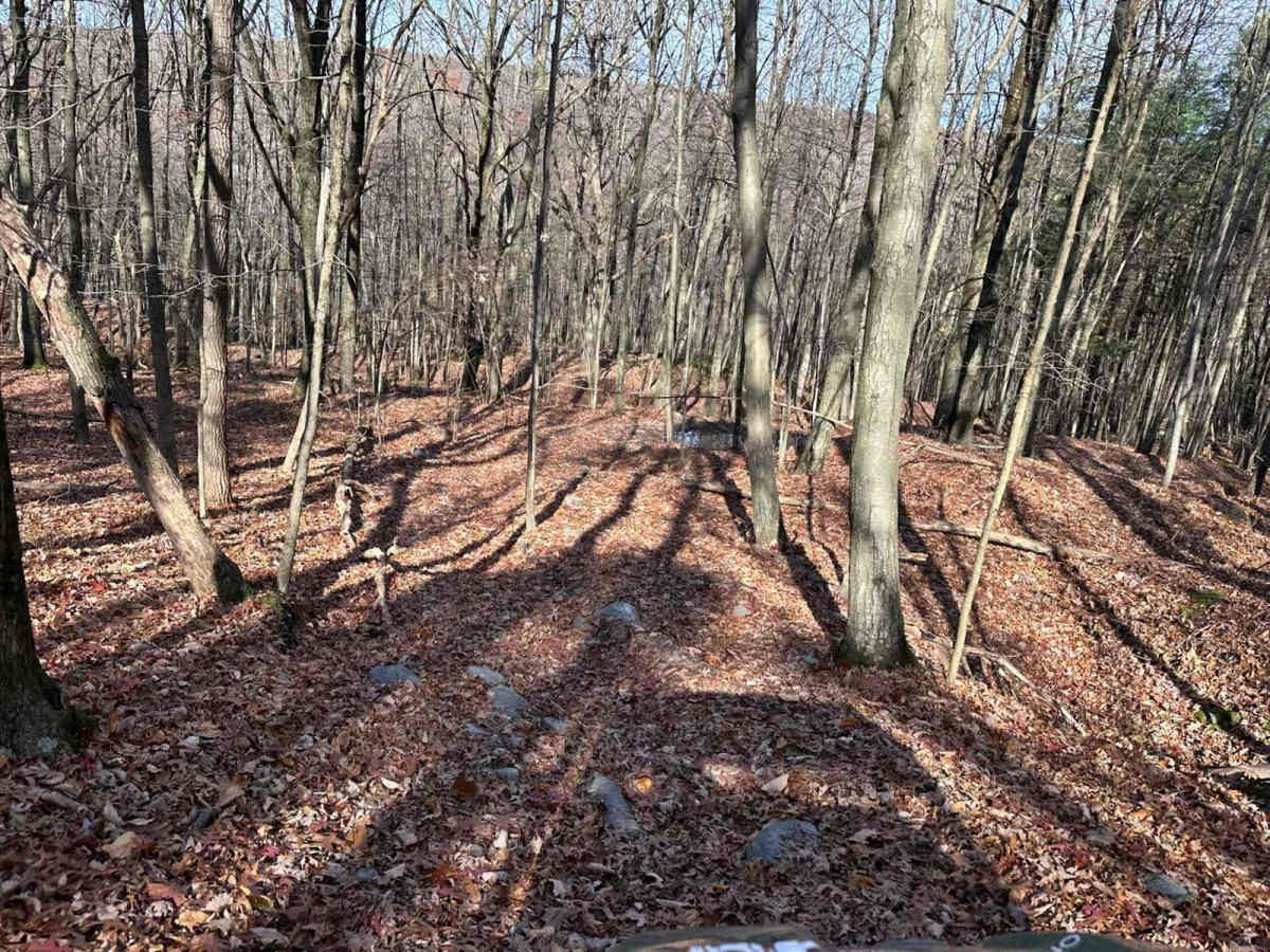 Ashland 27 trail photo