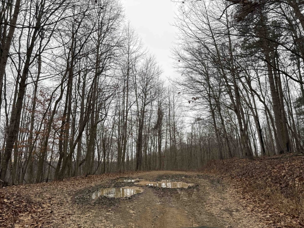 Sand Gap Road (FSR 731) photo 2