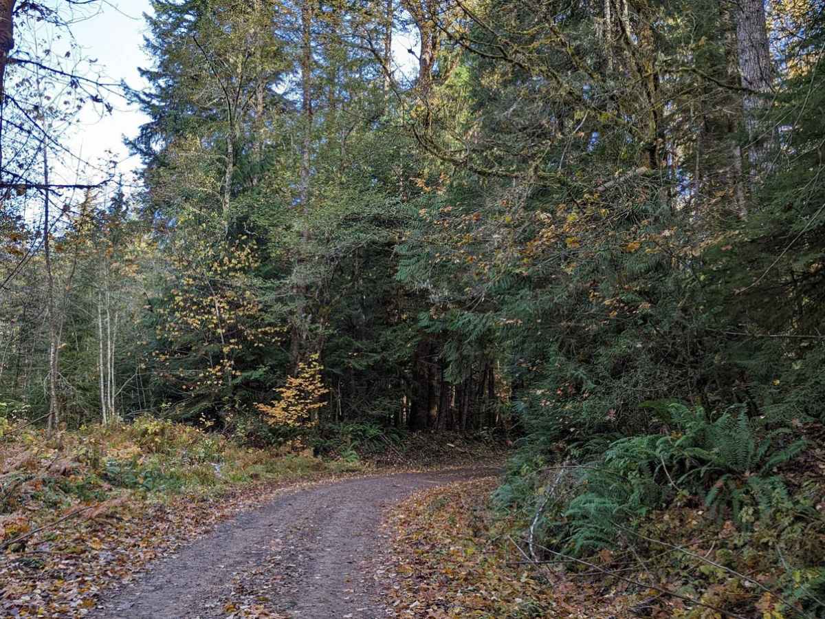 Slippery Creek Road photo 2