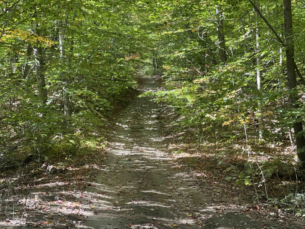 Zonner Road to Cliffy Jewel Pasture Road photo 3
