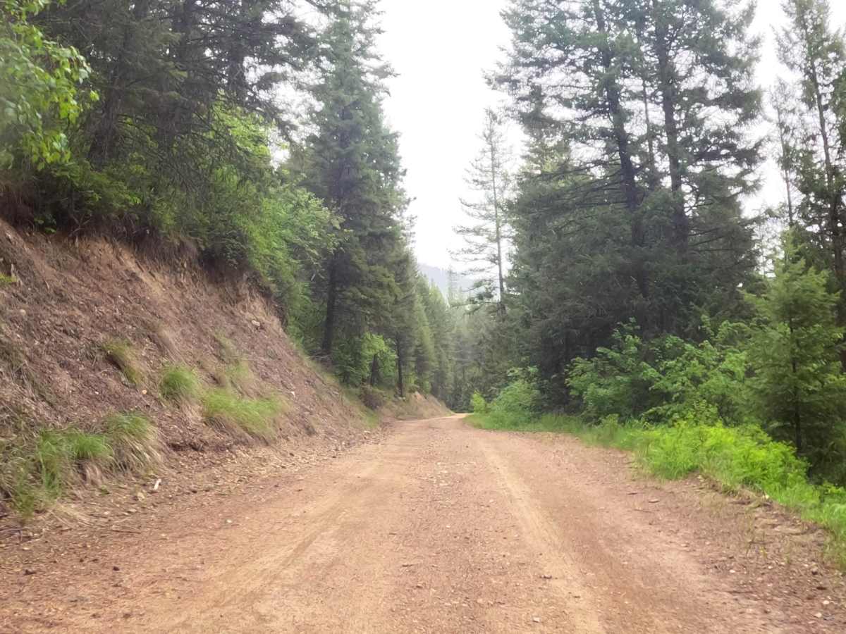 Second Creek Road-First Creek Road photo 6