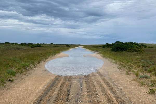 South Core Banks - Back Road