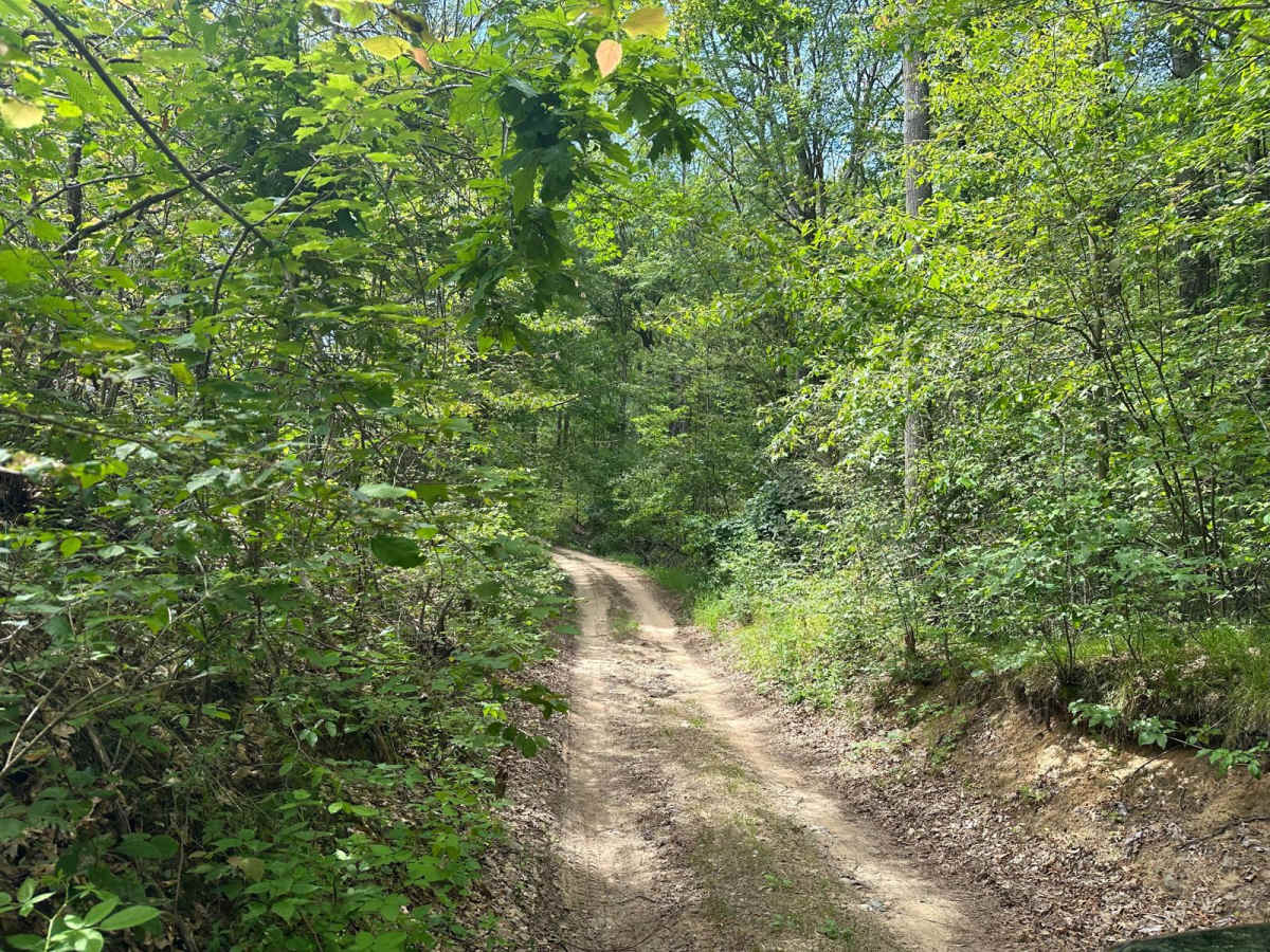 West Cannonsville Road trail photo