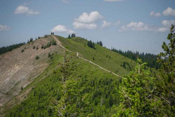 Dam Creek Divide ATV
