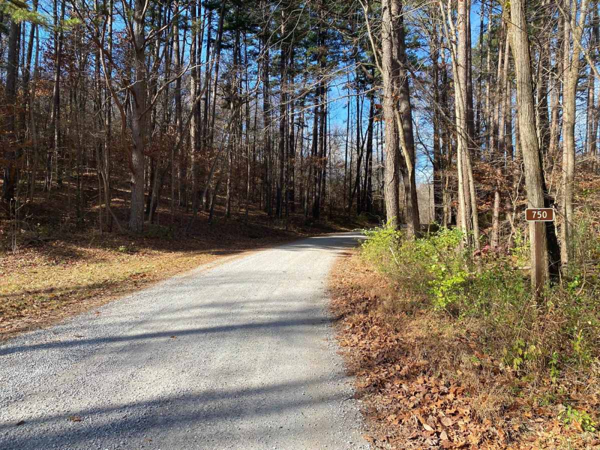 Natural Bridge Road photo 3