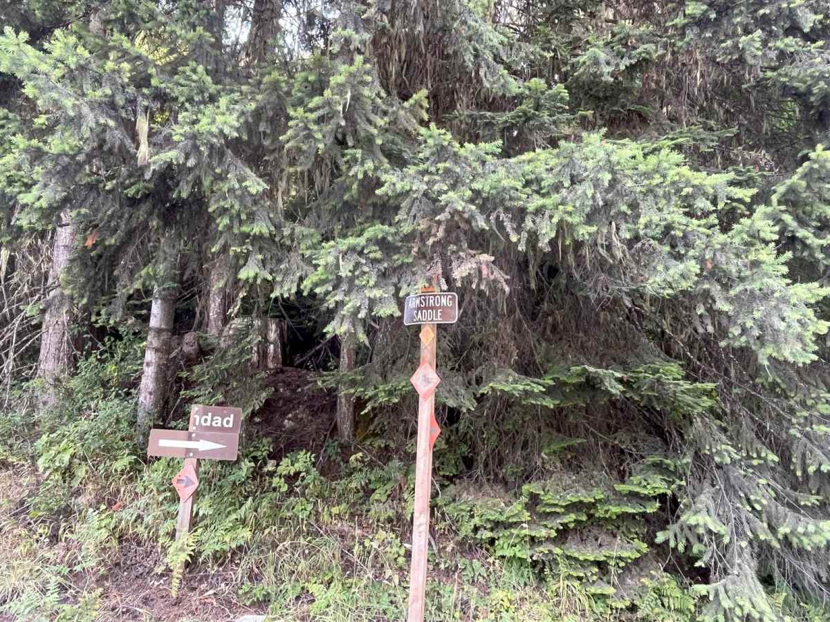 Elkberry Creek Road trail photo