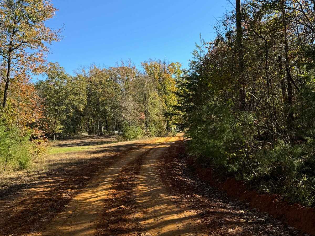 #80 Road to Primitive Camping trail photo