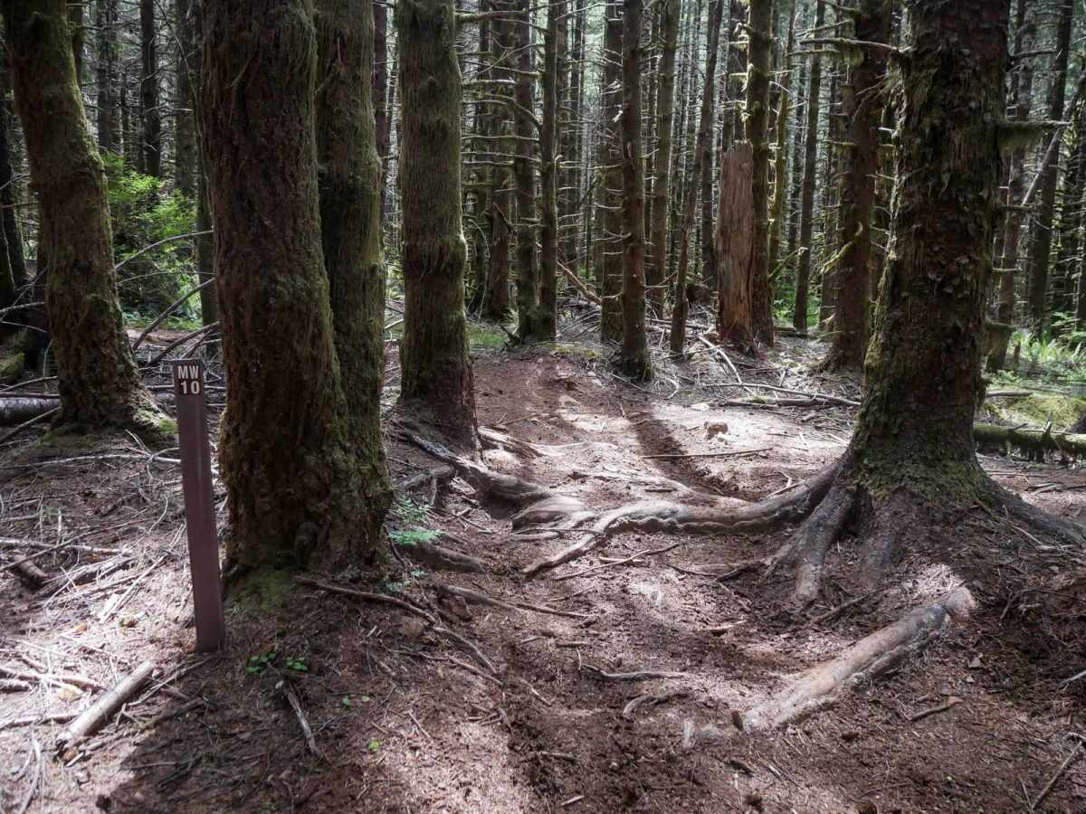 MW10 trail photo