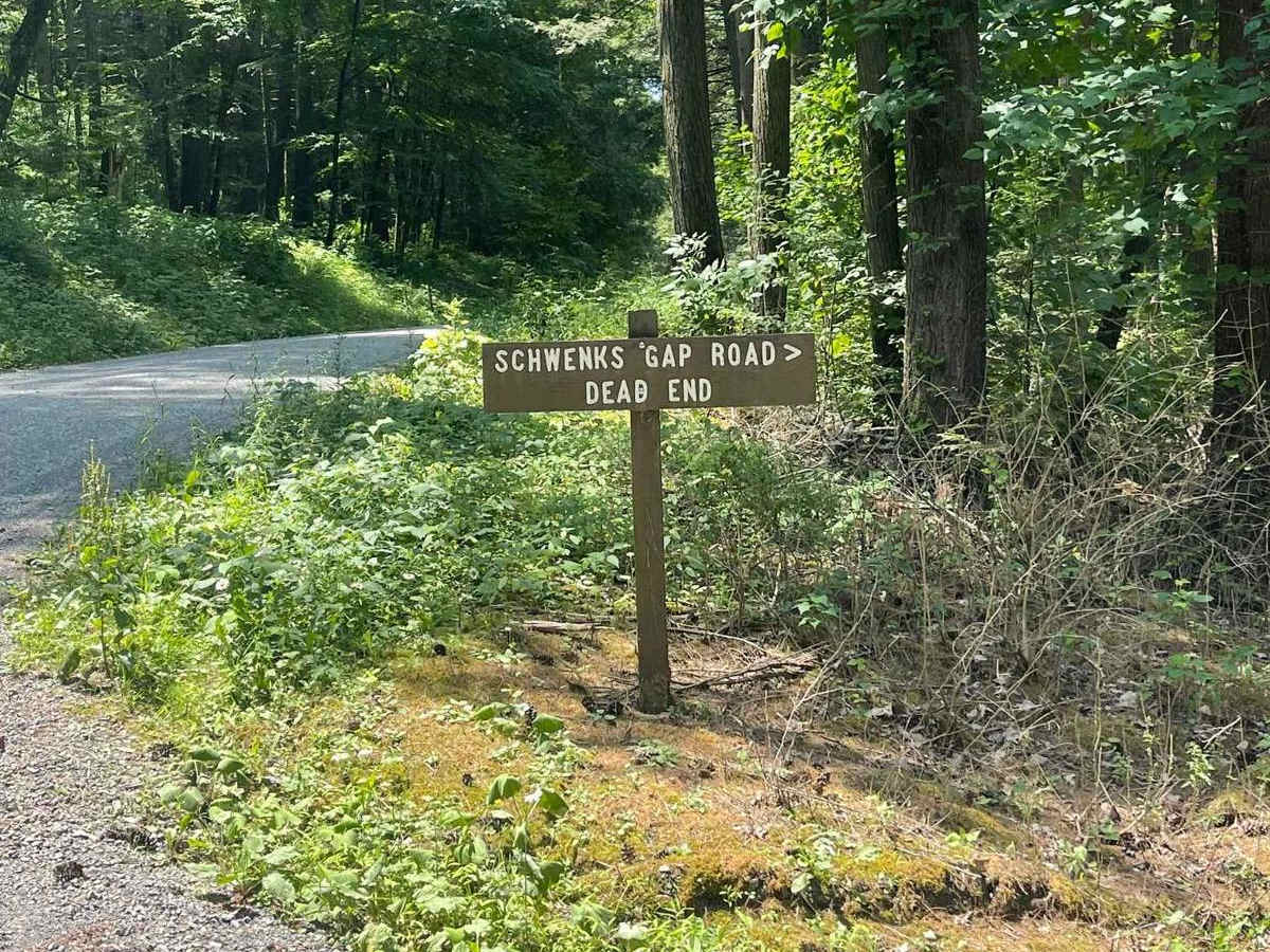 Schwenks Gap Road trail photo