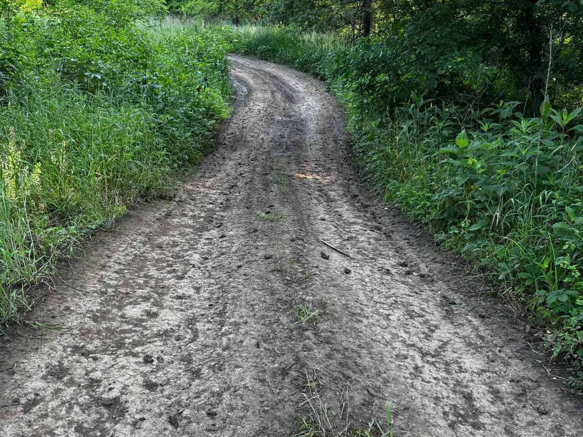 Green 88 trail photo