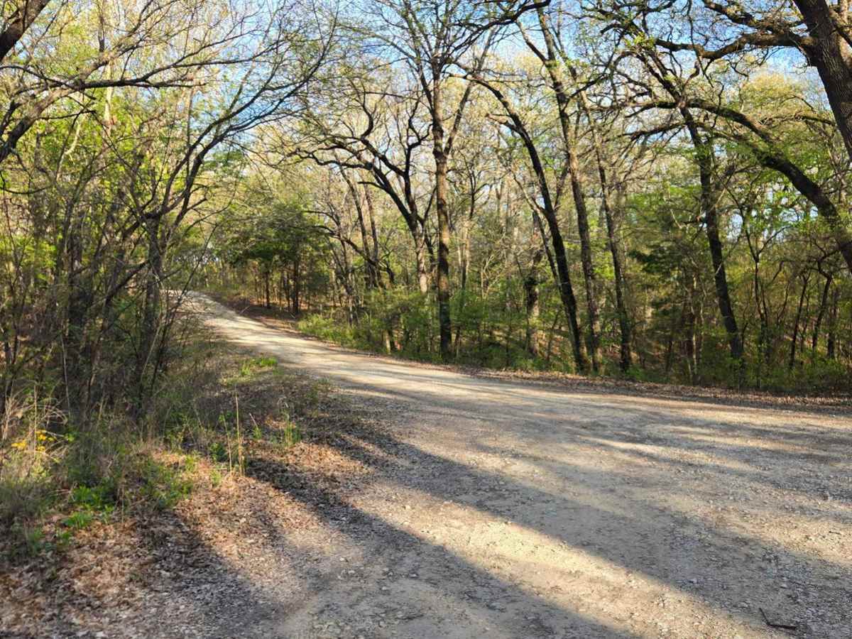 Oil Field Road photo 2
