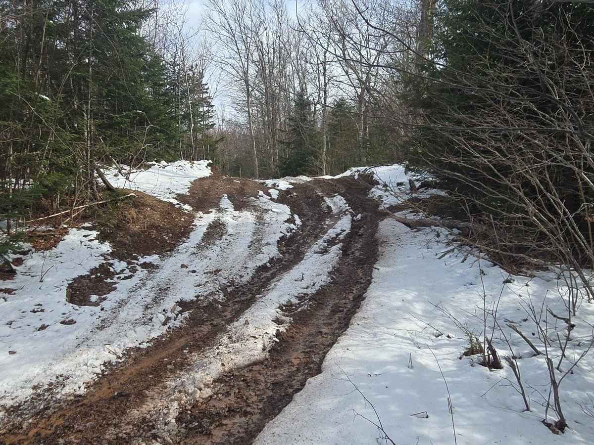 Porter Road photo 2