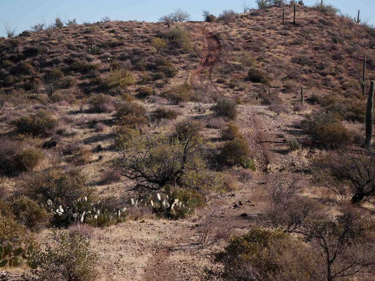 31167 trail photo