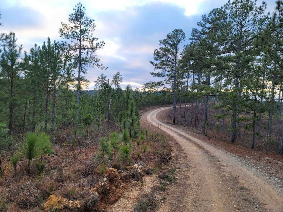 USFSR #536 - Rattlesnake Mountain photo 6