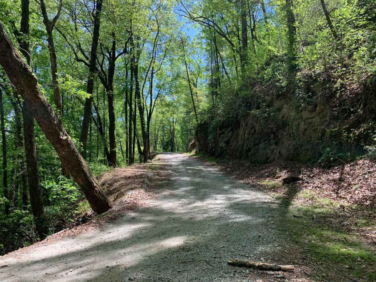 Shooting Tree Ridge Road photo 3