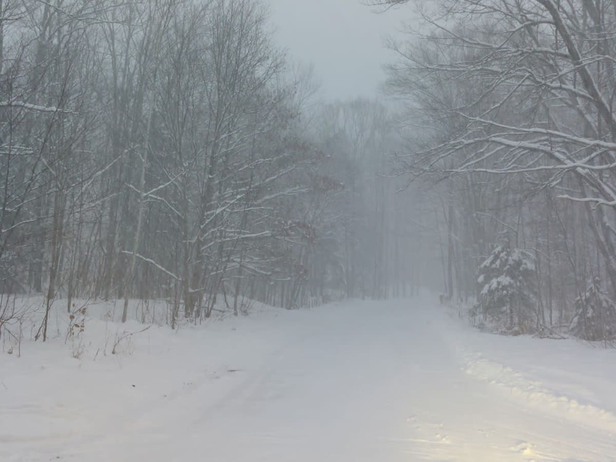 Covered Drive photo 4