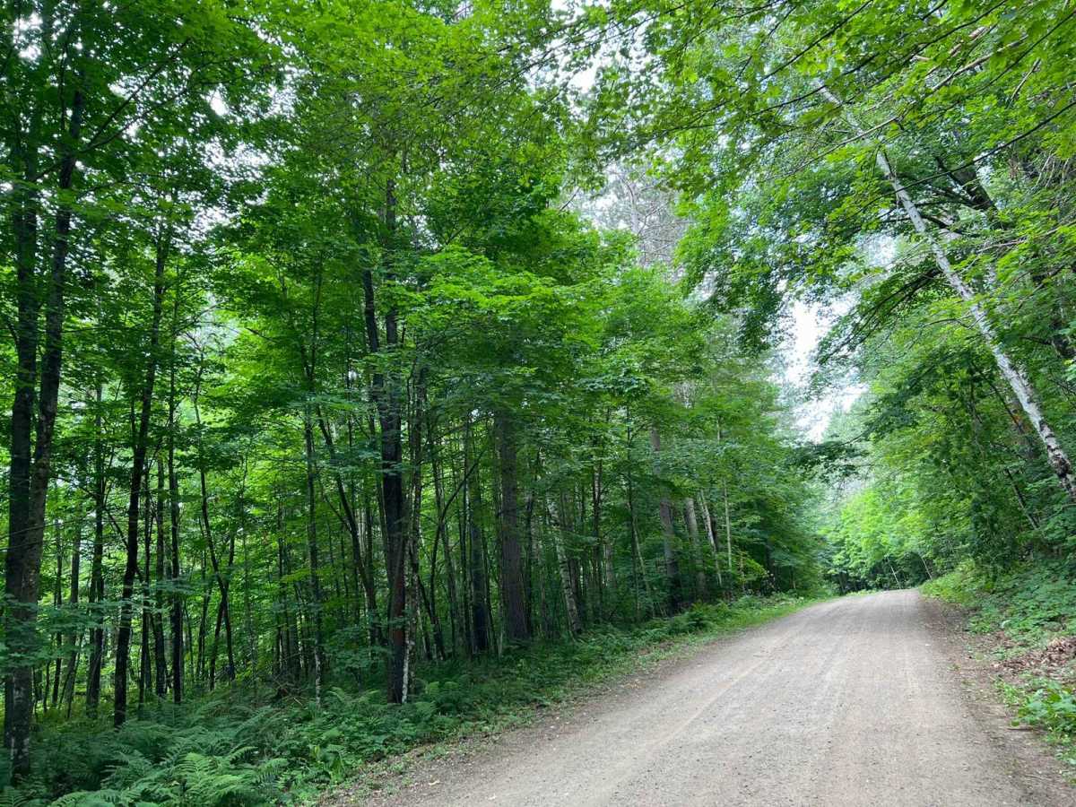 Trestle Road - FS 2696 photo 4