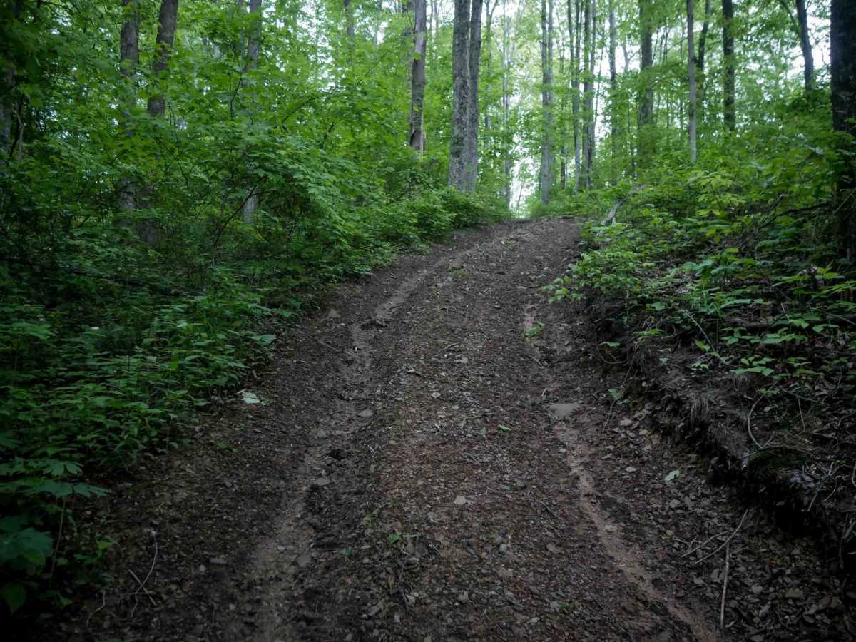 J78 trail photo
