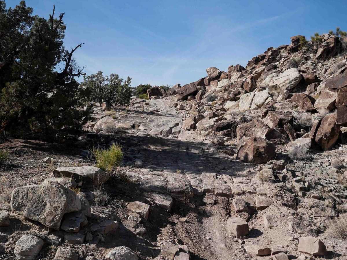 Odds North Access Trail trail photo