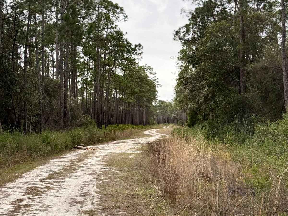 Beeline trail photo