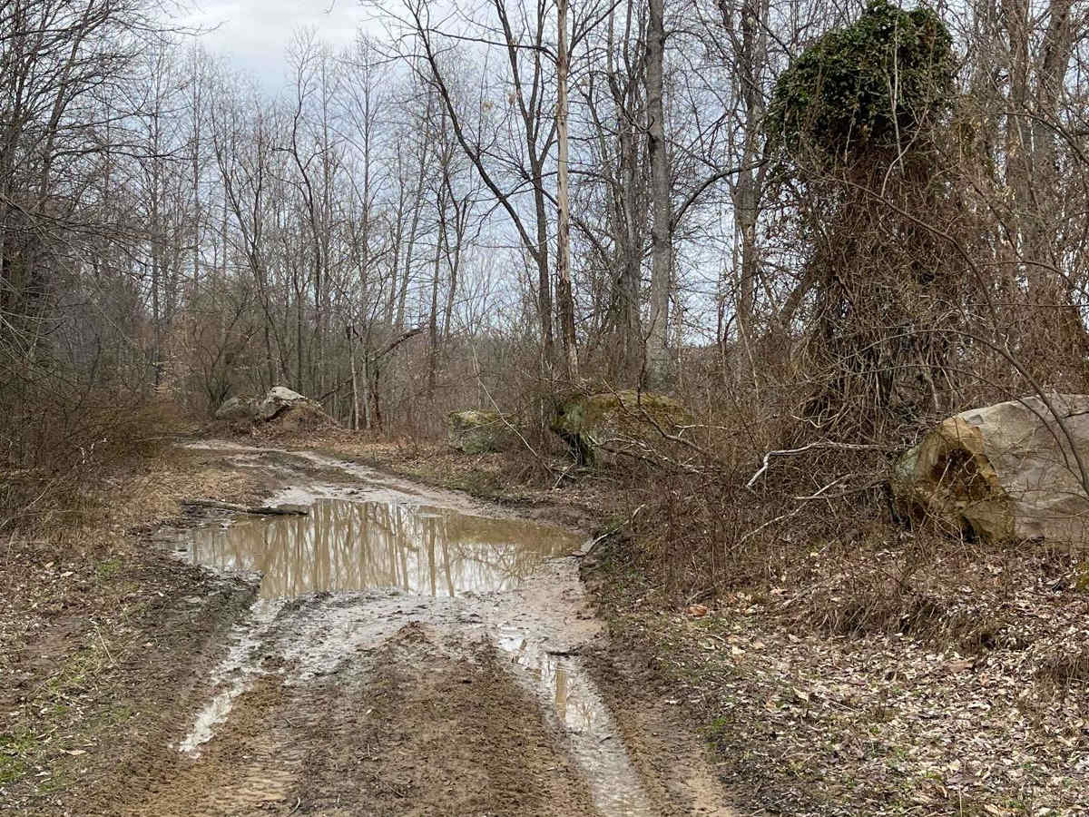 Trail 31 photo 3
