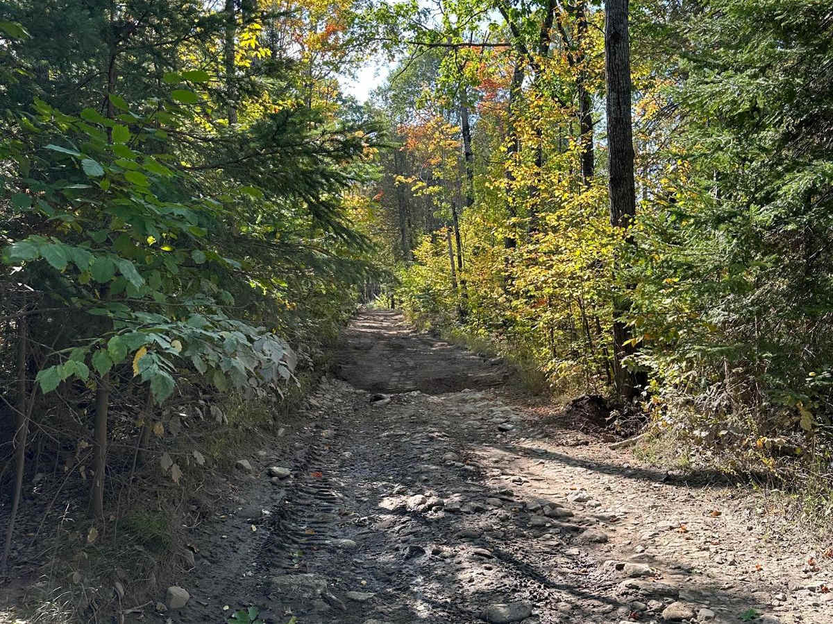 ORV Spur photo 6