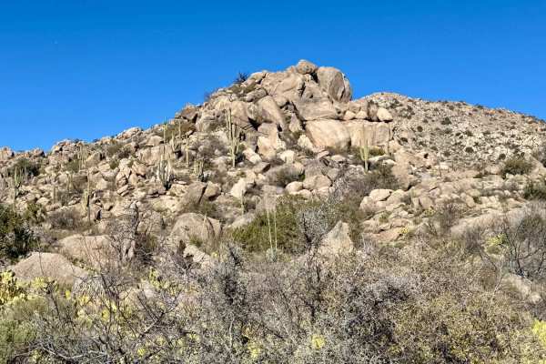 Miller Wash to the Lumpy Rocks