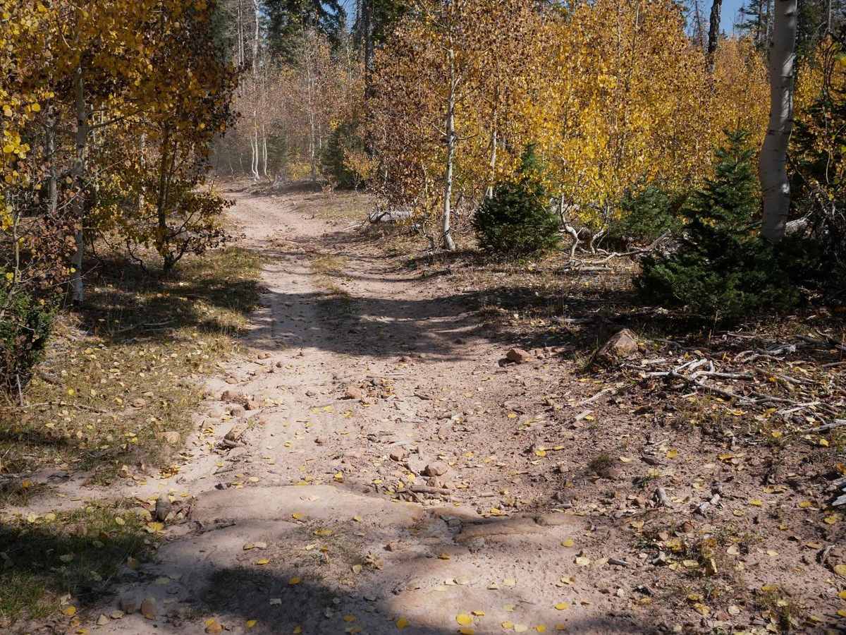Spring Creek Spur B ATV Trail photo 3