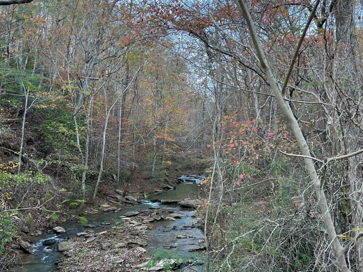 Inmanfield - FS266 trail photo