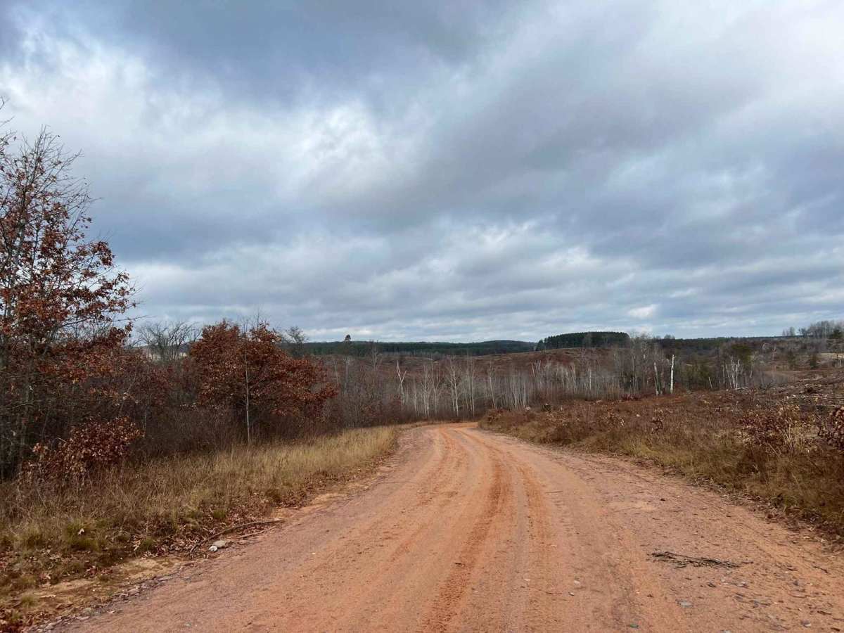 Florence County F16/6 Barrens Natural Area Trail trail photo