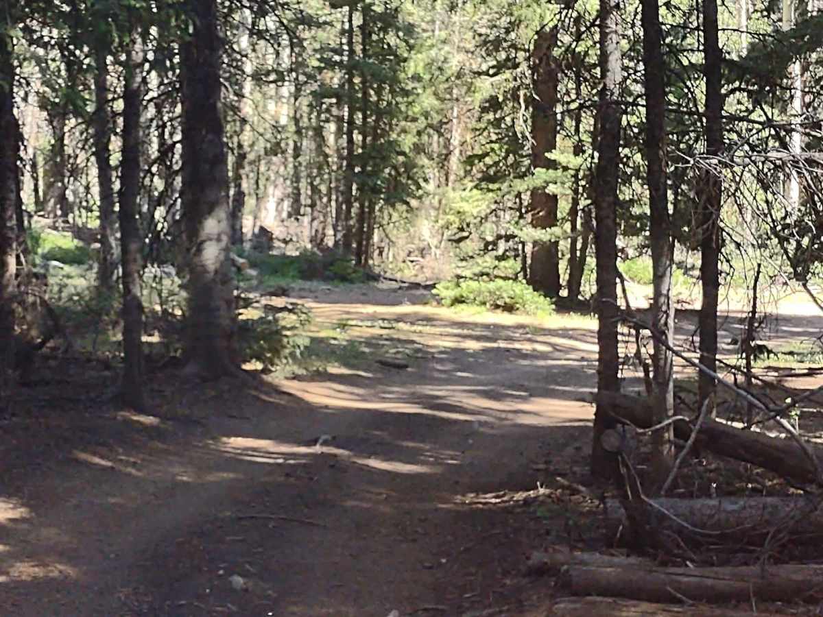 Big Flat Long Flat (FS 40581/Paiute D-3/Trail 1A) photo 4