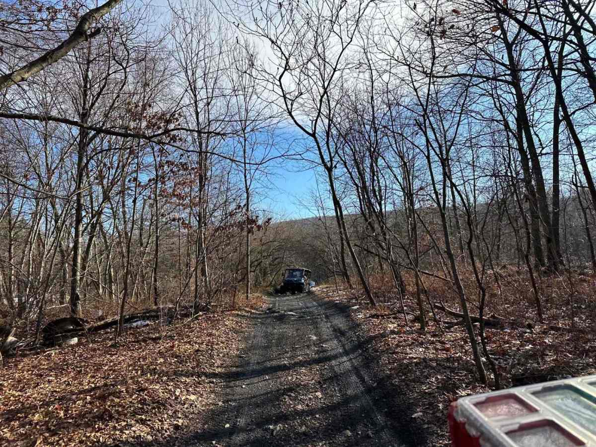 Locust Gap 9 trail photo