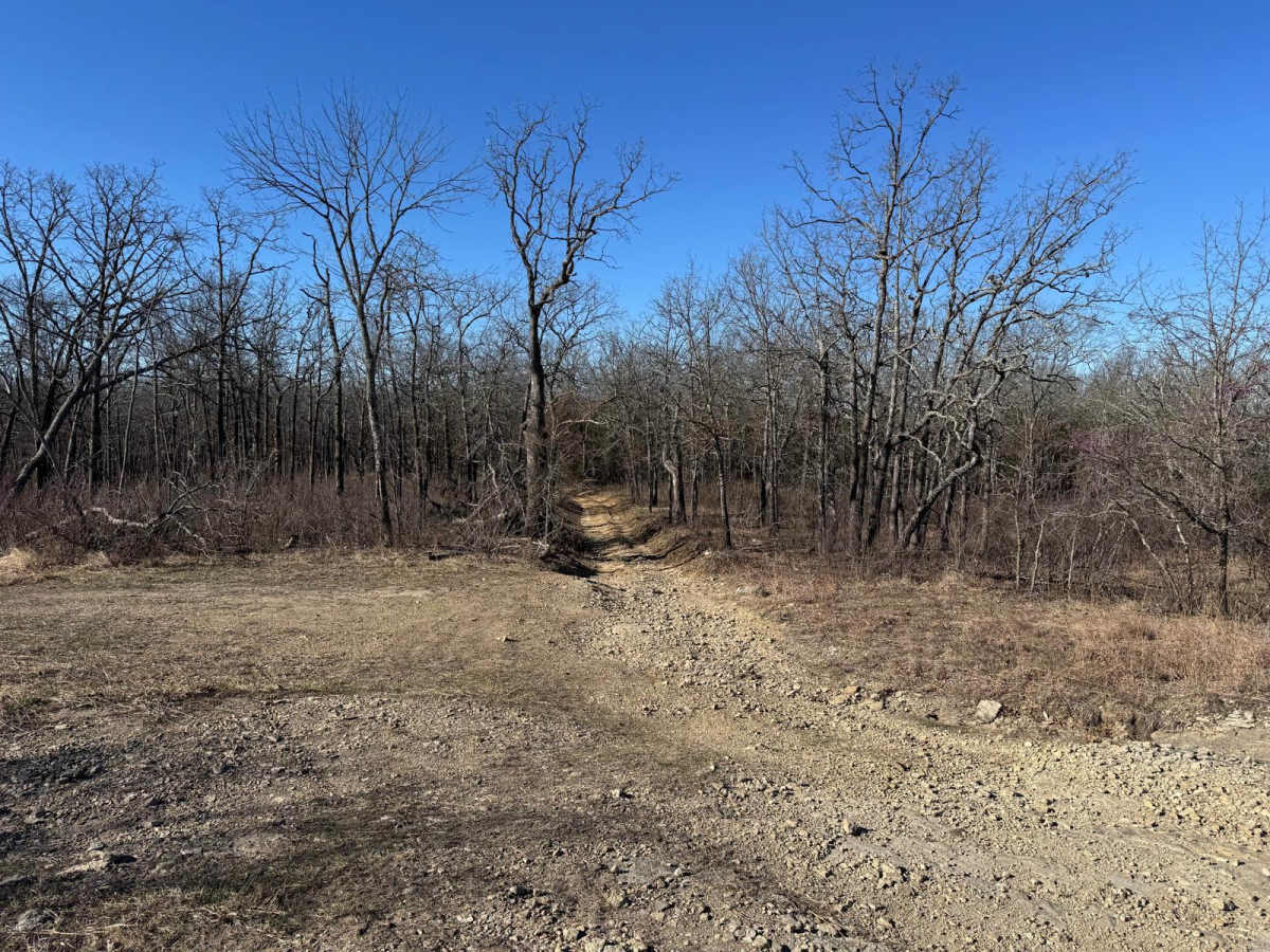 Brushy Ridge Spur A - FSR 606A photo 6