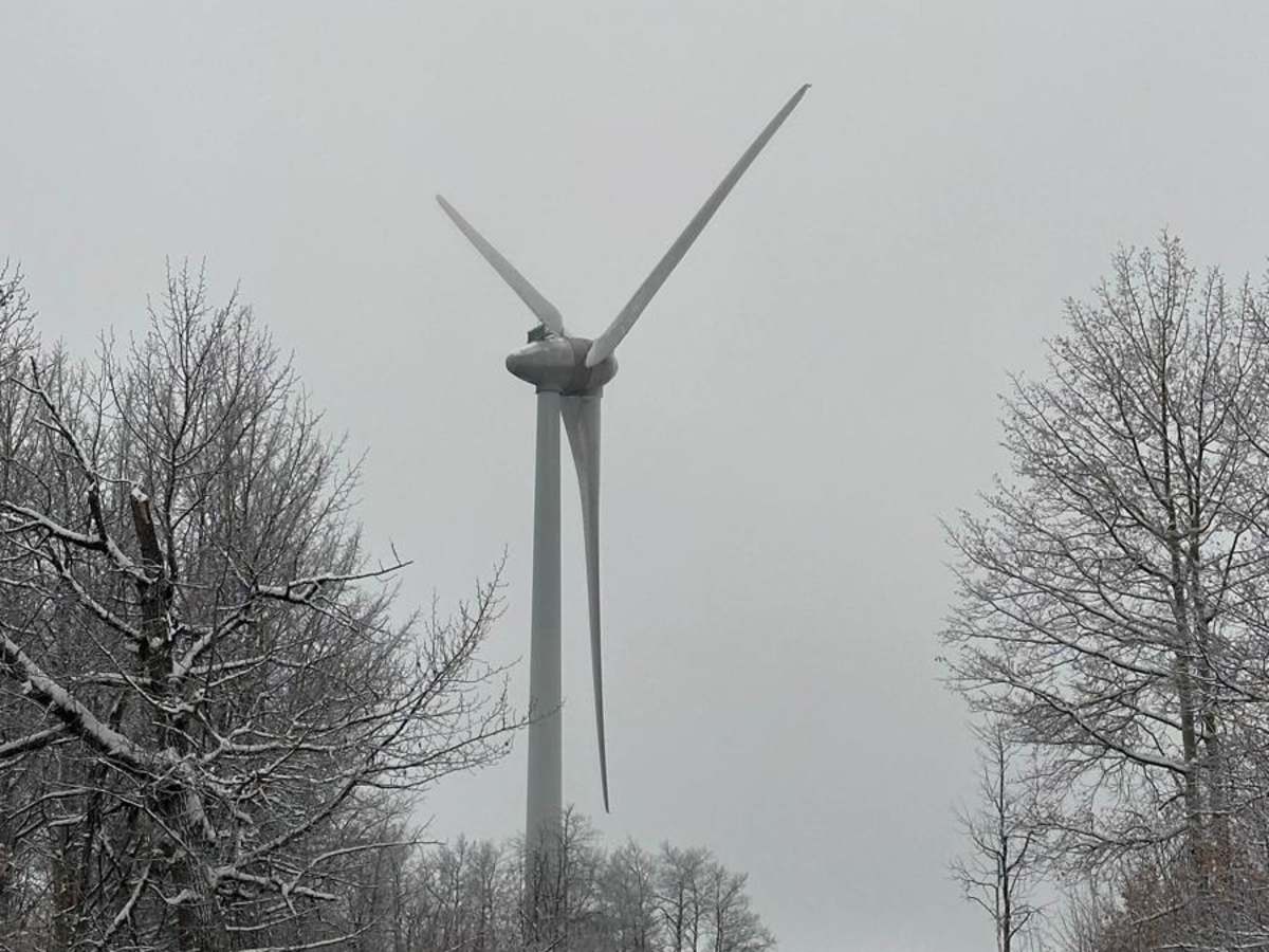 Bear Mountain Wind Park photo 2