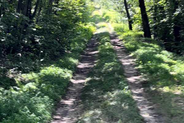 Horse Valley Ridge / Concord Road