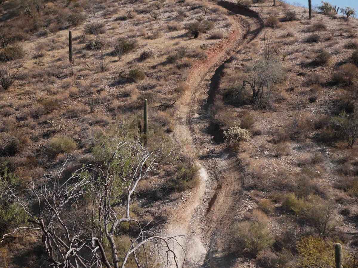 31036 trail photo