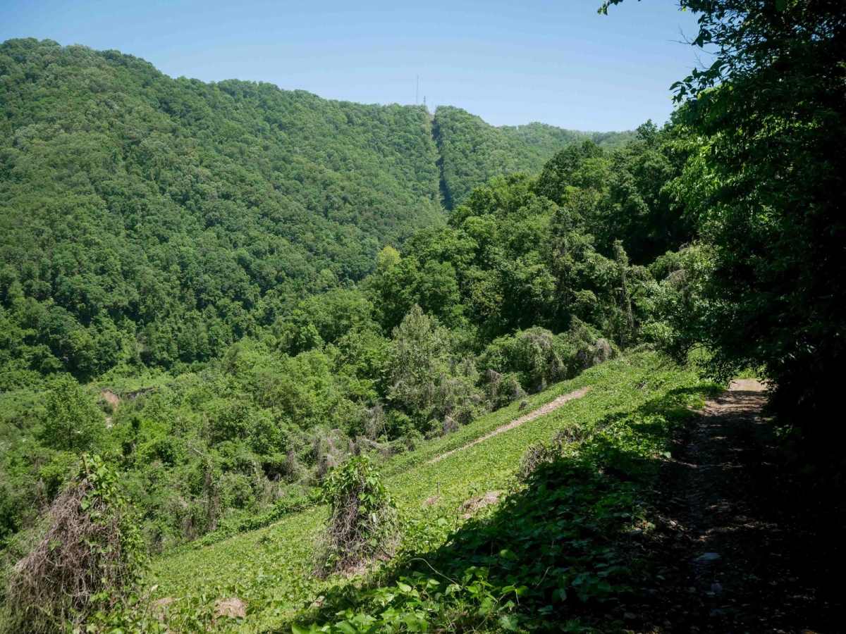 CC1 (Part 2) trail photo