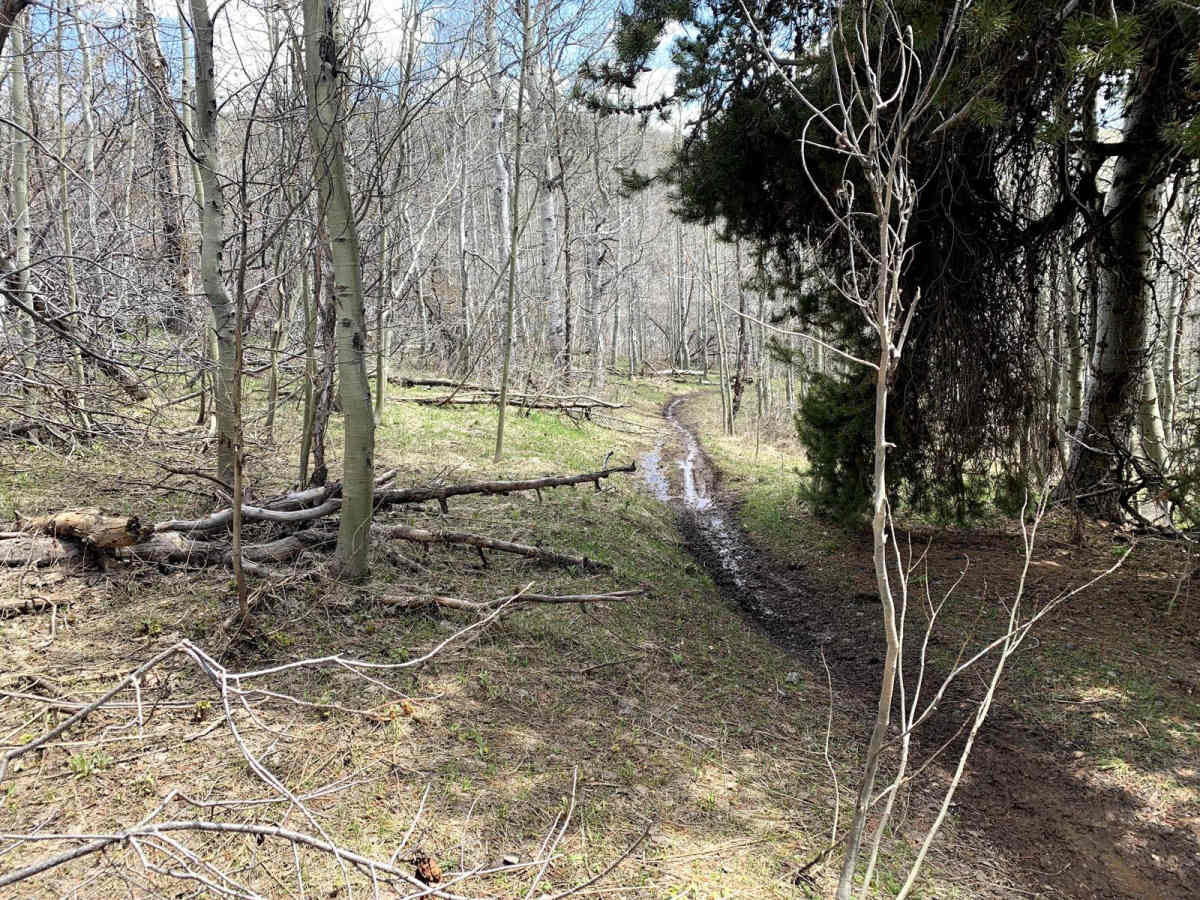 A-H Creek photo 6